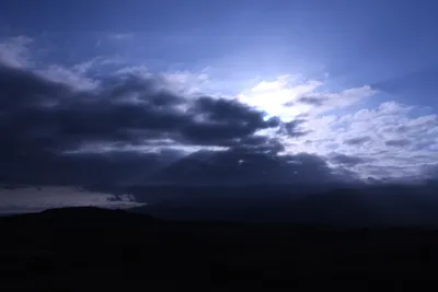 DSC_1232 (Large).JPG